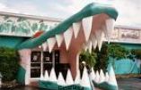 Gatorland Tour - Transportation Only